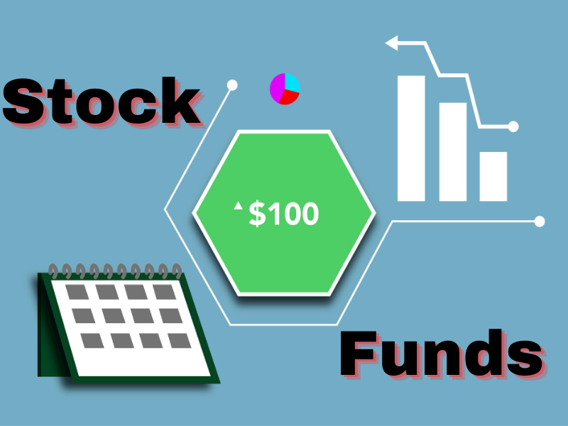 Stock funds or equity funds involve major investments in stocks to achieve capital gains